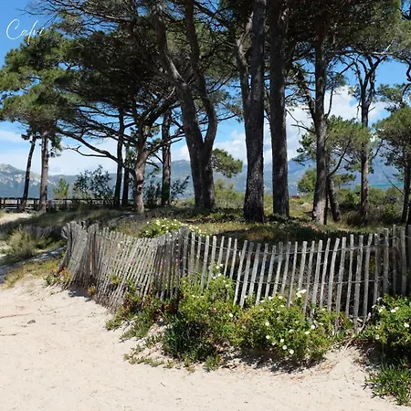 Manuro Paisible & Vue